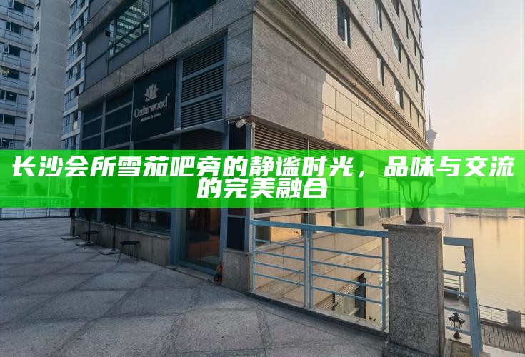 长沙会所雪茄吧旁的静谧时光，品味与交流的完美融合